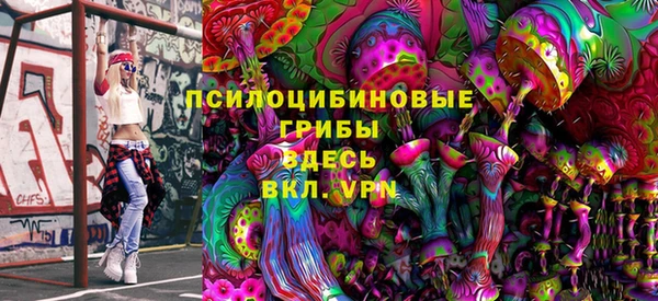 герыч Снежинск