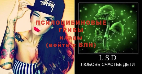 молекула духа Слюдянка