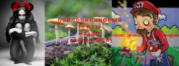 герыч Снежинск