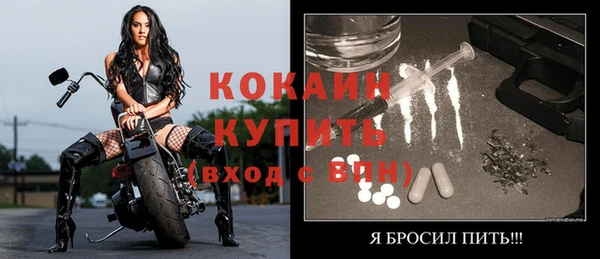 молекула духа Слюдянка
