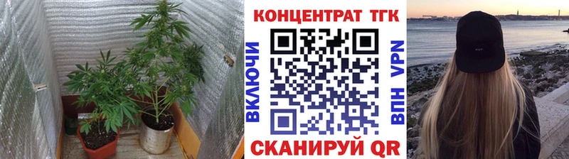 ТГК Wax  Южно-Сухокумск 