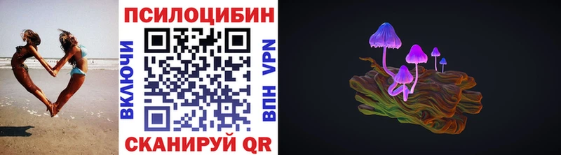 купить наркотик  Южно-Сухокумск  blacksprut ТОР  Галлюциногенные грибы мицелий 