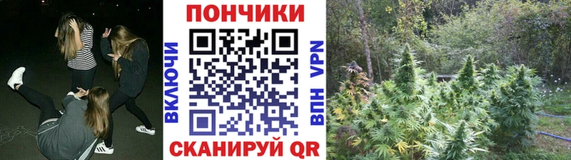 Конопля MAZAR  Южно-Сухокумск 